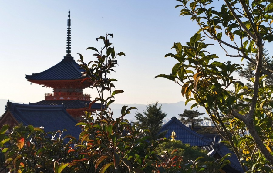日本京都东寺景点一户建仅265万5年托管