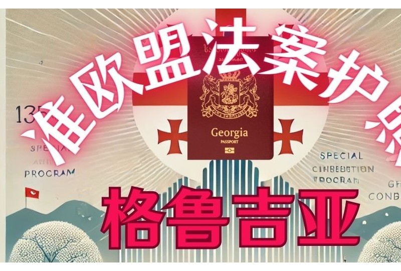 2025准欧盟格鲁吉亚法案公民身份